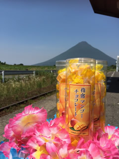 マンゴーチョコ